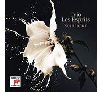 Trio Les Esprits - Schubert