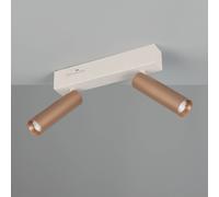 Trio Lighting Ambala LED ceiling spotlight, length 26 cm, grey/brown, 2-bulb.