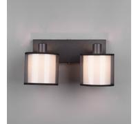 Trio Lighting Burton downlight, elongated, 2-bulb