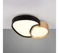 Trio Lighting LED ceiling lamp Rise, black-gold, 43 x 36 cm, CCT, dimmable