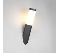 Trio Lighting Trioto outdoor wall lamp, matt black, height 39 cm, stainless steel