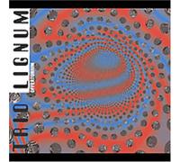 Trio Lignum - Offertorium
