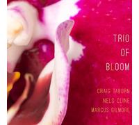 Trio of Bloom - Trio of Bloom