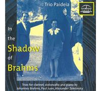 Trio Paideia - In the Shadows of Brahms, Vol.1