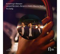 Trio Zadig - Something In Between