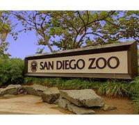 Trip to San Diego Zoo