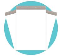 Triplast 10 x 14-Inch Plastic Mailing Postal Bag - White (Pack of 200)