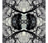 Adam Rudolph - Sonic Mandala - Adam Rudolph & Go: Organic Orchestra