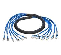 Tripp Lite Augmented Cat6/Cat6a Pre-Terminated Copper Trunk Bundle, (6x) RJ45 (M/F), 6 ft. (N261-006-6MF-BL)