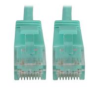 Tripp Lite Cat6a 10G Ethernet Cable, Snagless Molded Slim UTP Network Patch Cable (RJ45 M/M), Aqua, 1 Foot / 0.3 Meters, Manufacturer's Warranty (N261-S01-AQ)