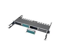 Tripp Lite N484-12LC 10GbE Pass-Through Cassette - (x12) LC Duplex
