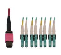 Tripp Lite N845X-05M-8L-MG 40/100G Multimode 50/125 OM4 Fiber Optic Cable (12F MTP/MPO-PC to 4x Duplex LC/PC F/M), LSZH, Magenta, 5 m (16.4 ft.)