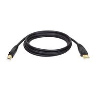 Tripp Lite USB 2.0 Hi-Speed A/B Gold Device Cable Shielded (M/M), 3.05 m (U022-010)