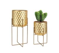 TRIROCKS Set of 2 Gold Metal Planters with Stands, Modern Indoor Plant Pots with Raised Stand, 31cm & 45cm Decorative Flower Pot Holders for Living Room, Balcony, Patio & Home Decor(Gold)