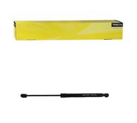 Triscan 8710 23244 Gas Spring Rear