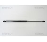 TRISCAN 8710 25232 Tailgate strut