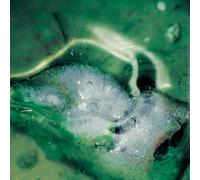 Tristan Arp - A Pool, A Portal [VINYL]