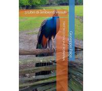 TRITTICO ITALIA E ROMANIA: 3 Libri di ambienti vissuti (CANALE DI PACE. EVOLUZIONE DEL CITTADINO.)