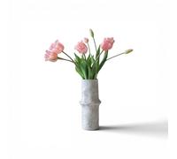 Triumph Tulip Bouquet Light Pink