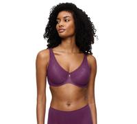 Triumph Wild Rose Sensation W01 Flower Purple, Flower Purple, 40C