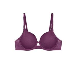 Triumph Wild Rose Sensation WP Flower Purple, Flower Purple, 32C