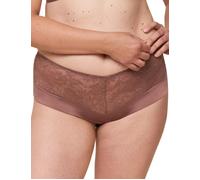 Triumph Womens 10210632 Vivid Spotlight Maxi Brief - Brown Elastane - Size 14 UK