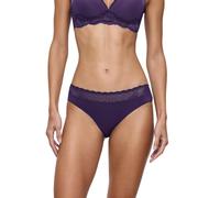 Triumph Women's Feel of Modal Tai Briefs, Royal Purple, M
