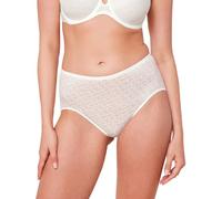 Triumph Women's Signature Sheer Maxi Ex Briefs (pack of 1)