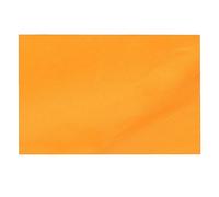 TRIWONDER Tent Tarp Waterproof Camping Tarpaulin Shelter Footprint Groundsheet Hammock Rain Fly for Outdoor Hiking Beach Picnic (Orange, L)