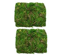 TRIXES 100g Decorative Dried Green Moss - Real Preserved - Perfect for Plants & Flower Arranging or Wreath Making - Terrariums or Reptile Cages