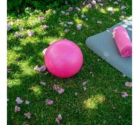 TRIXES Pilates Exercise Ball 25 cm/9 Inch - Pilates Yoga Gym Workout - Balance Stability Core Training