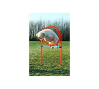 TRIXIE Agility Hurdle for Dogs 115 x 3cm Plastic