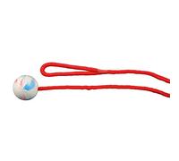 TRIXIE Ball with Rope, Natural Rubber, Diameter 5 cm, 1.00 m, Dog, 3304