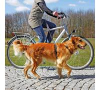 Trixie Bicycle And Jogging Lead, 25 Mm, Black - Leadmm Leash Dog - lead jogging bicycle trixie mm black 25 leash dog