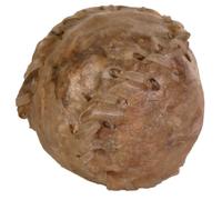 Trixie Chew Balls Loose, Sewn, ø 4.5 cm, 10 Pieces, RRP 11.90 EUR, New