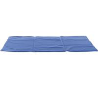 Trixie cooling mat for dogs and cats, 28688, 100 x 60 cm, blue, cools for several hours, through body contact