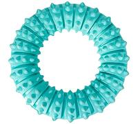 Denta Fun Ring Mint Flavour Natural Rubber Dog Toy - 12cm