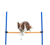 Trixie Dog Activity Agility Hurdle, 123 ﾗ 115 ﾗ 3 cm, Orange/ Blue