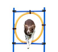 Trixie Dog Activity Agility Ring, 115 ﾗ 3 cm 65 cm, Orange/ Blue
