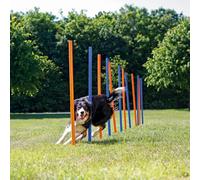 Trixie Dog Activity Agility Slalom, 115 x 3 cm dia, Orange/ Blue, 12 Pieces