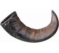 Trixie Genuine Buffalo Chewing Horn for Dogs, Large