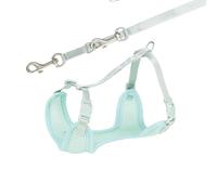 Trixie Junior Harness With Leash Harness Mint