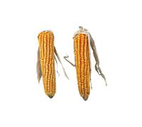 Trixie Maize Cobs 2pcs