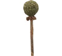 Trixie Matatabi Lolly for Cats - 11cm