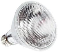 Trixie Moonlight Heat Lamp, 75 Watt, 63 x 100 mm