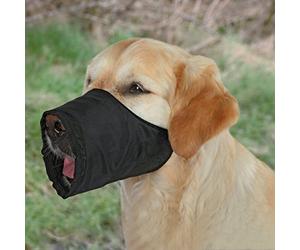 TRIXIE Muzzle loop for dogs - 12 cm basket circumference - 4.3 cm basket length - e.g. for visits to the vet or train journeys - infinitely adjustable neck strap - snap closure - 1920