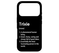 Trixie Name Definition Dictionary Case for iPhone 17 Pro