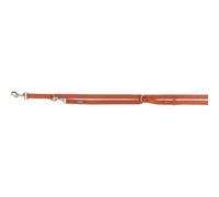 Trixie Premium Adjustable Dog Lead Rust - Large/Extra Large - 2 Metres /25 mm