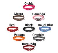 Trixie Premium Collar Adjustable Webbing Tape Various Sizes & Colours