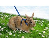Trixie Rabbit Harness and Leash, Assorted Colors, 6260